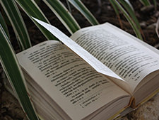 アーユルヴェーダの母体､ヒマラヤ。ここはかつて海だった場所 - アーユルヴェーダ - 海の病棟 | 福岡県大牟田市 不知火病院(うつ病の治療･入院･カウンセリング)